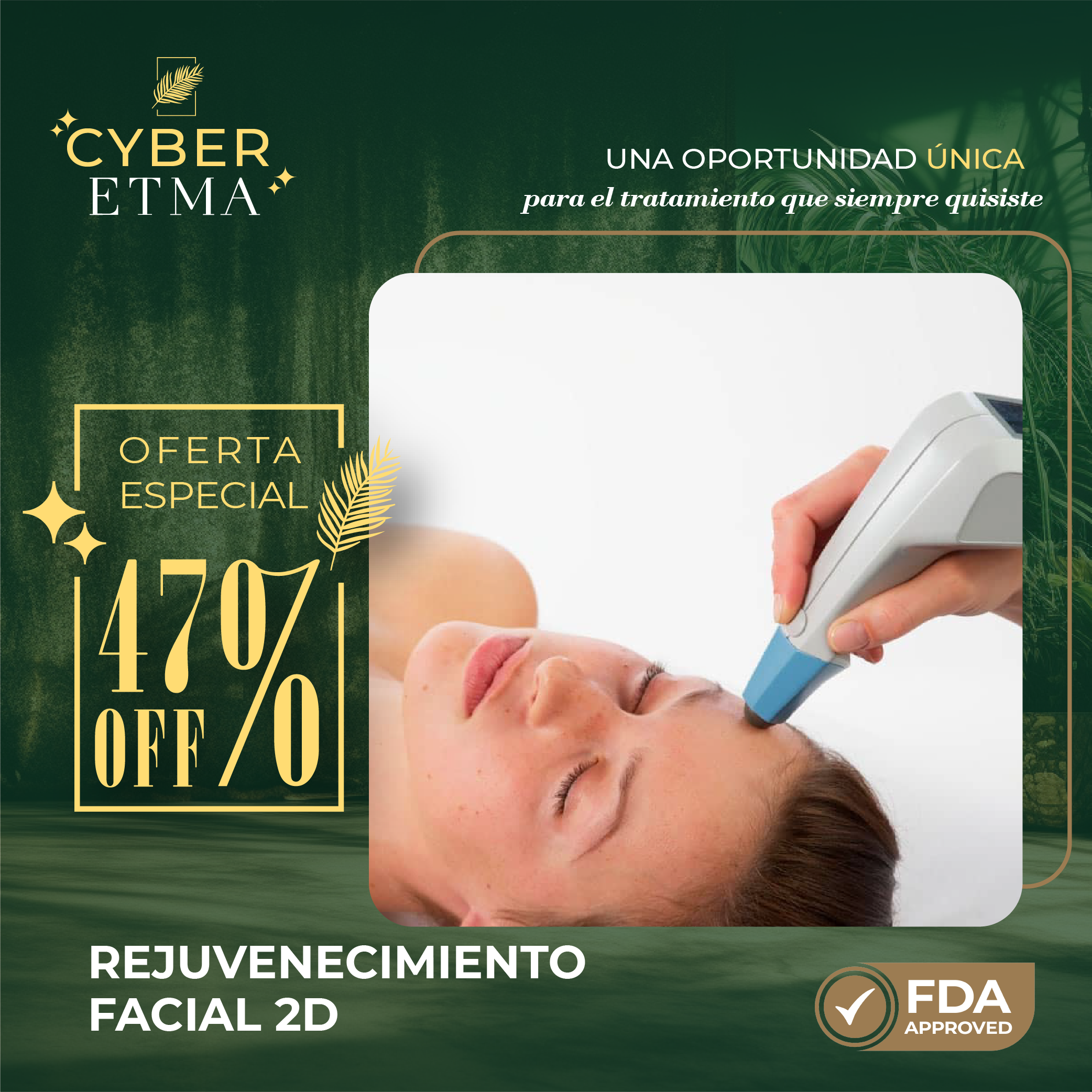 Rejuvenecimiento Facial 2D